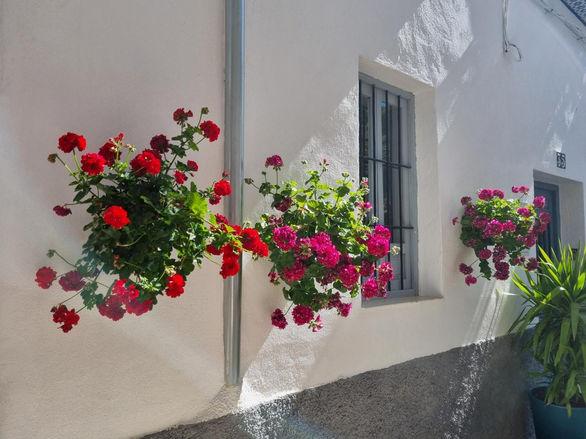 Casita Cazorla Villa Eksteriør billede
